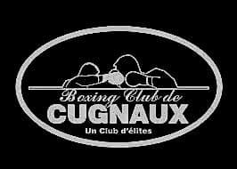 Logo du partenaire de l'action Participation au festi boxe